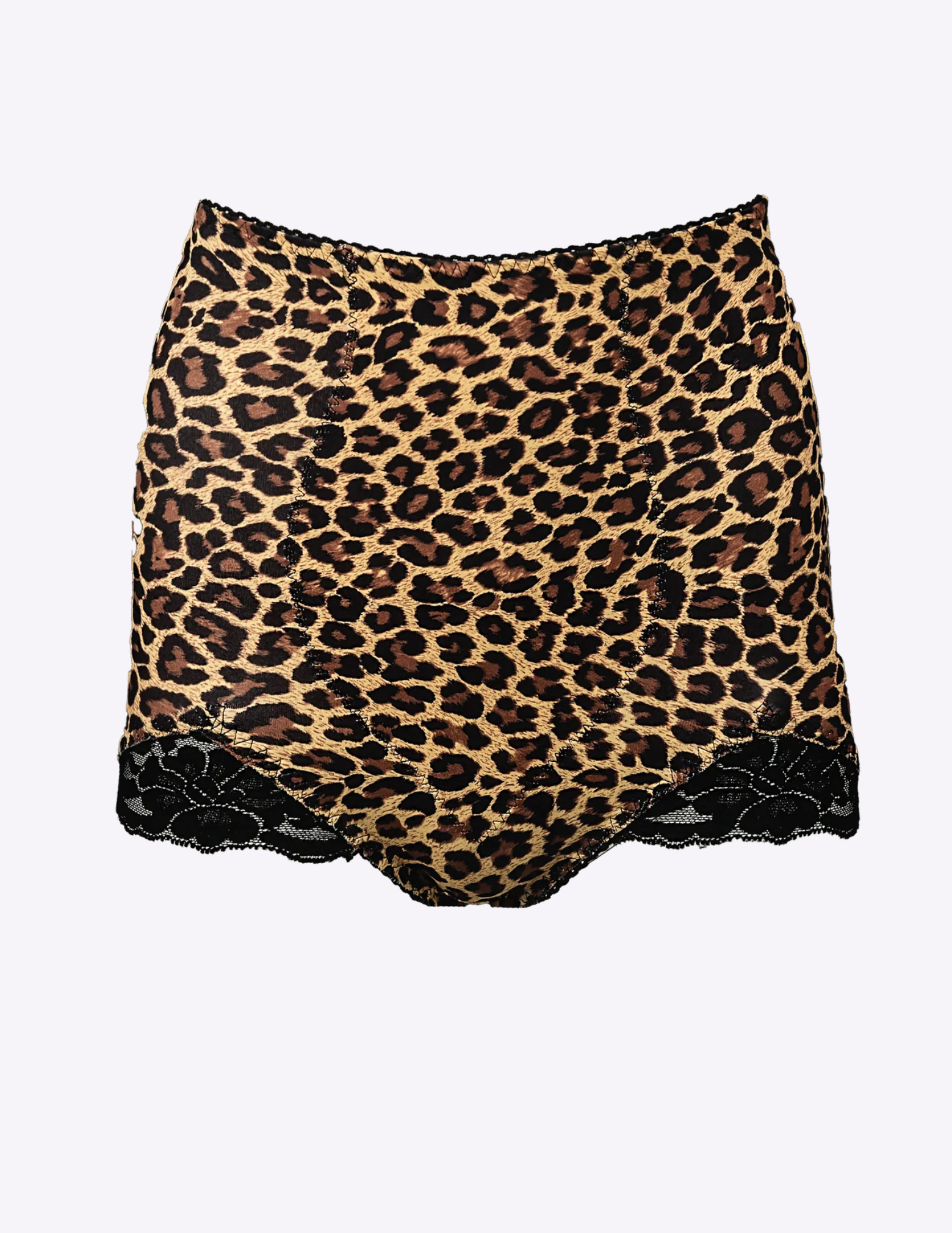 RAGO 919 Panty Brief Light Shaping