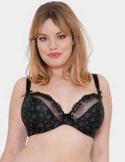 Daisie Plunge Bra