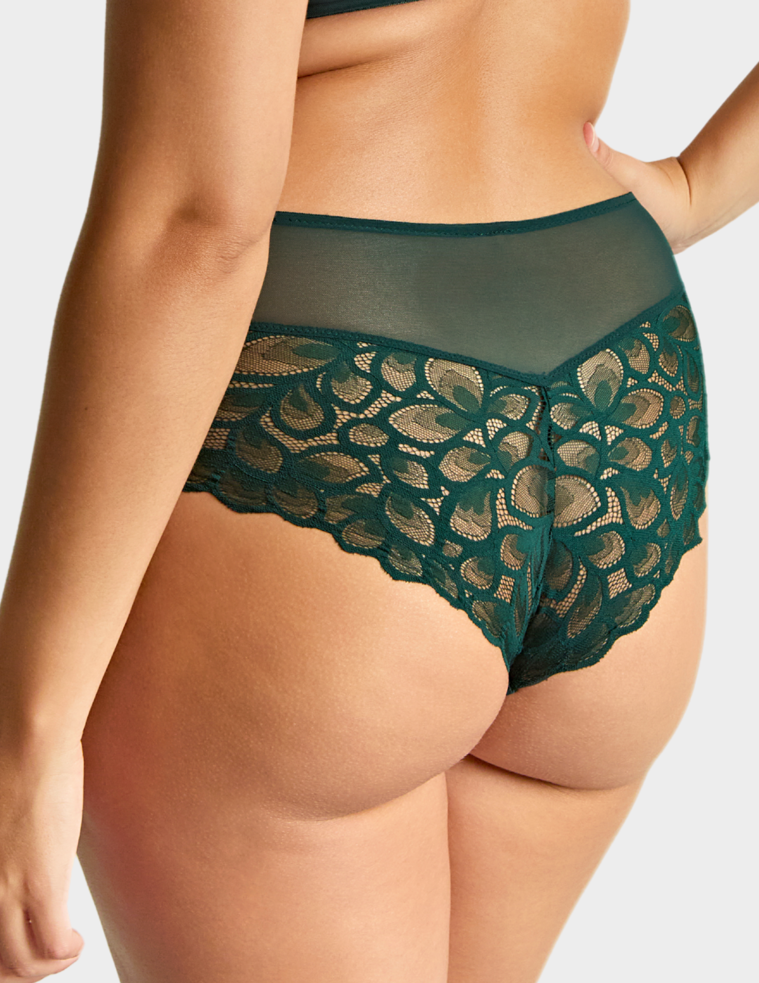 Back view of a model wearing Panache Allure brief in Forest Green