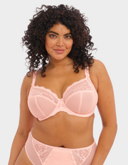Charley Stretch Plunge Bra