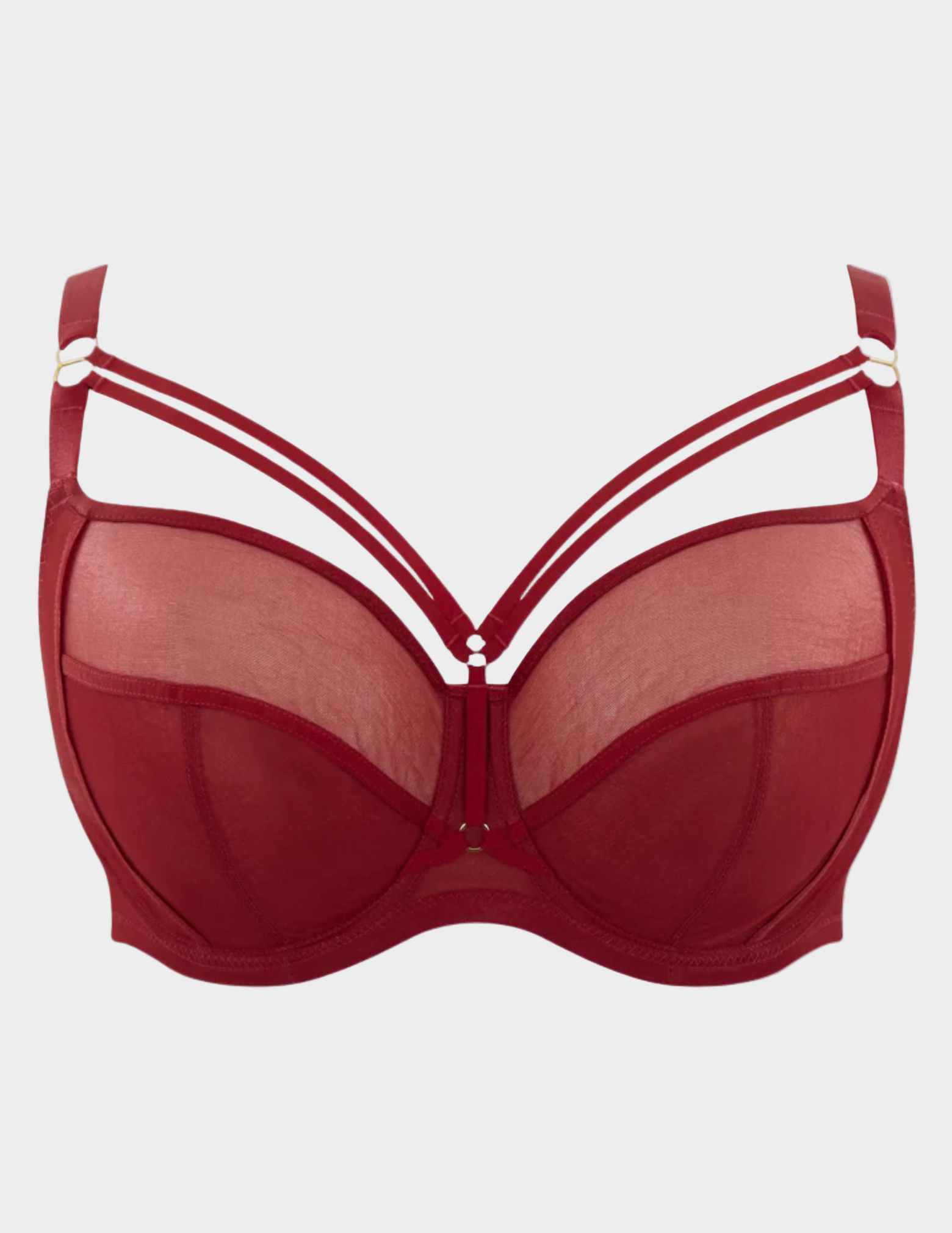 Sheer red mesh bra with strappy details and gold hardware against a white background