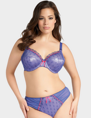 Izzy Underwire Plunge Bra