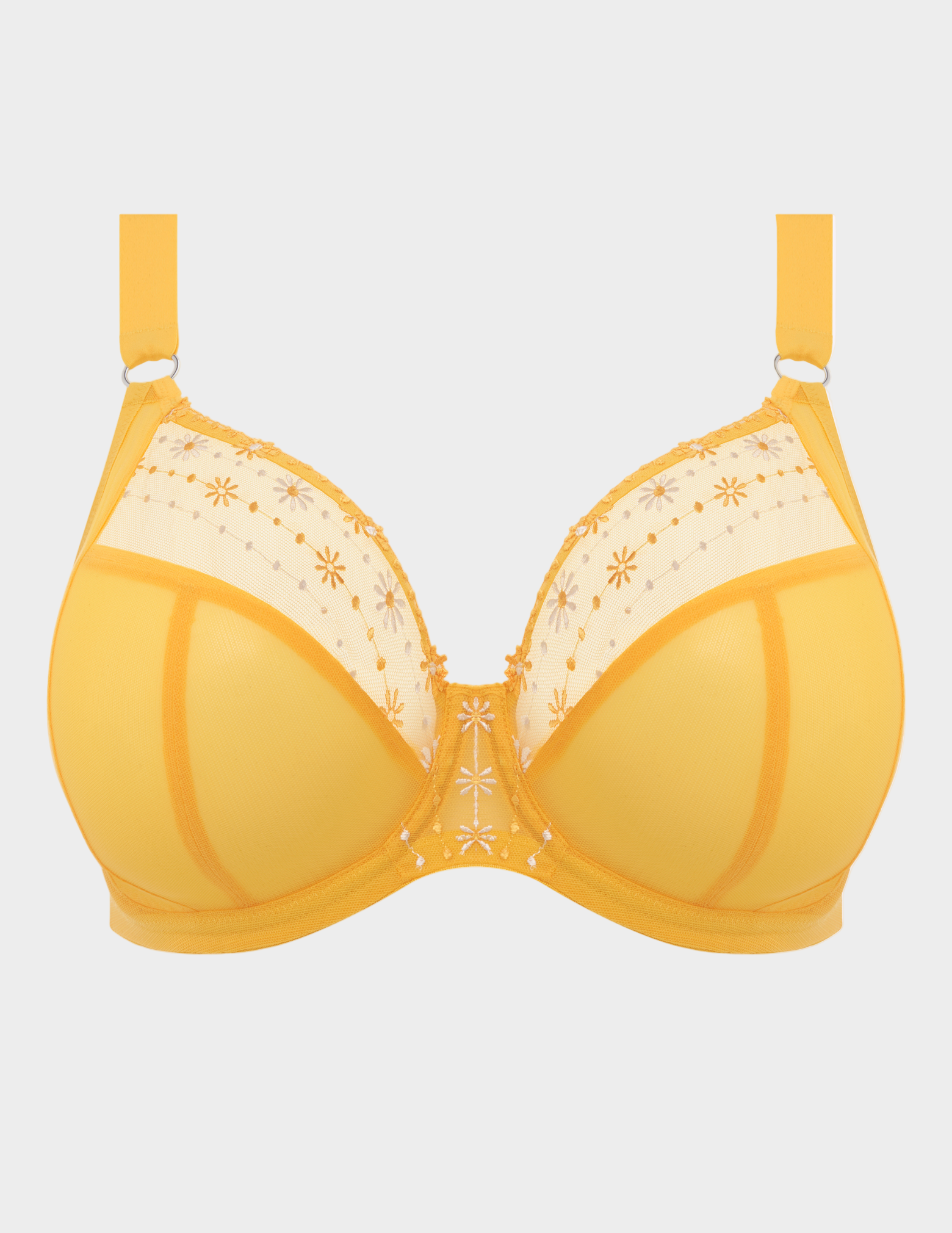 Matilda Underwire Plunge Bra