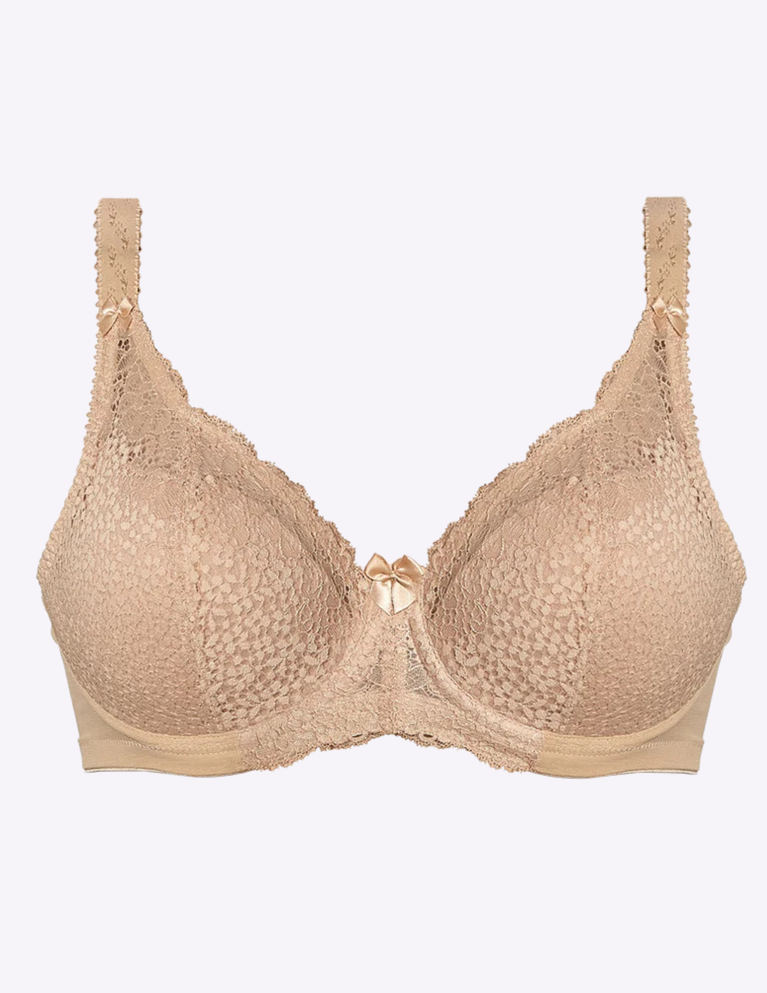 Michelle Underwire Padded Banded Bra
